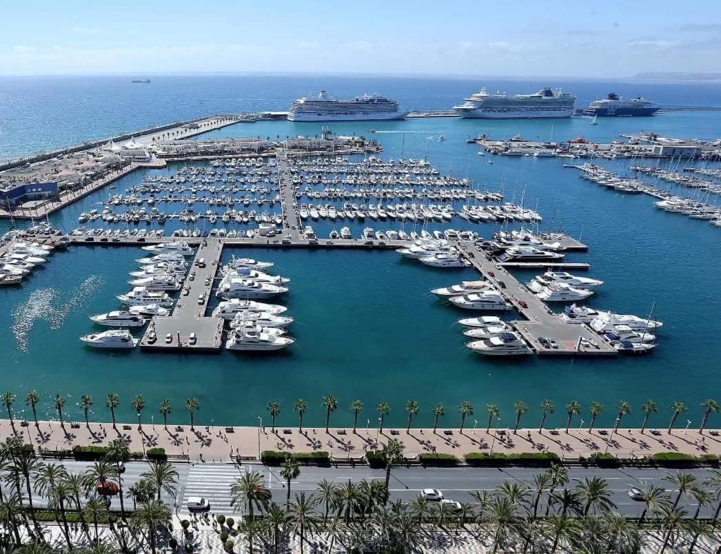 Charming Apartment In Alicante Near The Sea & City Center Exteriör bild