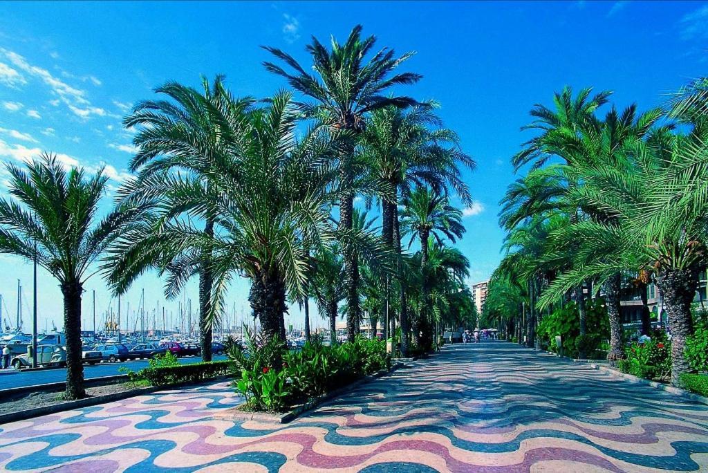 Charming Apartment In Alicante Near The Sea & City Center Exteriör bild